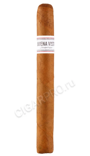 Сигара Buena Vista Araperique Churchill