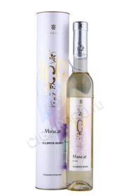 Вино Ледяное Фанагория Мускат 2022г 0.375л в подарочной упаковке