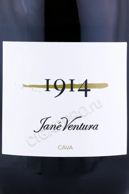 Этикетка Игристое вино Джейн Вентура 1914 Кава Гран Резерва Брют Натюр 1.5л