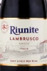 Этикетка Игристое вино Риуните Ламбруско 0.187л