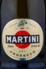 Этикетка Игристое вино Мартини Просекко 0.75л