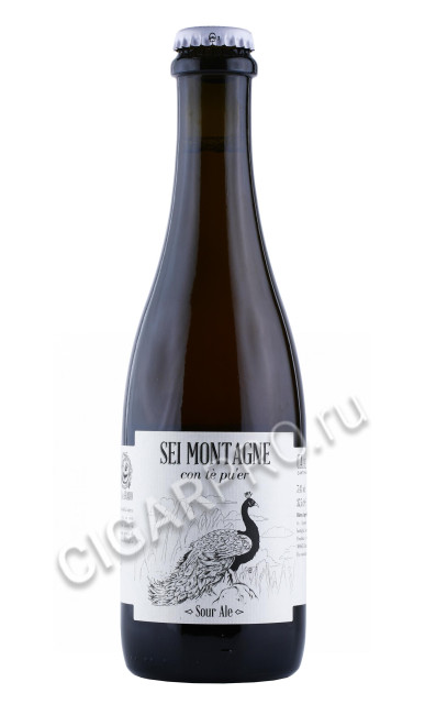 пиво ca del brado sei montagne sour ale 0.375л