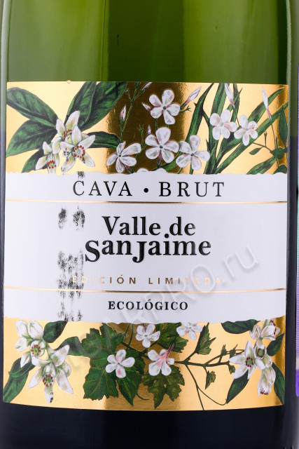 этикетка игристое вино cava valle de san jaime ecologico 0.75л