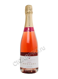 cava nuviana rosado brut купить вино игристое кава нувиана росадо брют цена