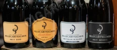 Линейка шампанского Billecart Salmon