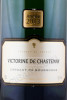 этикетка игристое вино victorine de chastenay millesime extra brut 3л