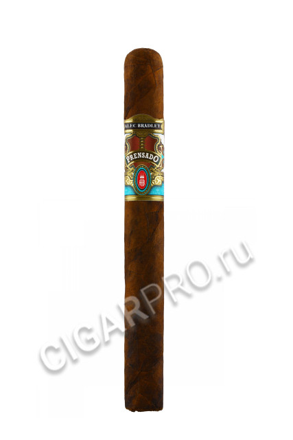 alec bradley prensado churchill