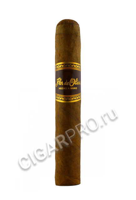 flor de oliva original robusto