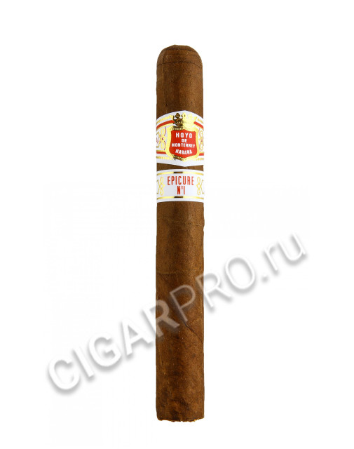 hoyo de monterrey epicure №1