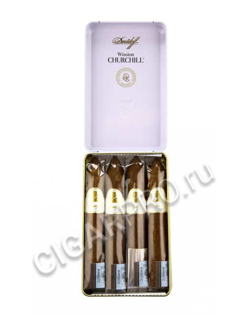 davidoff winston churchill belicoso