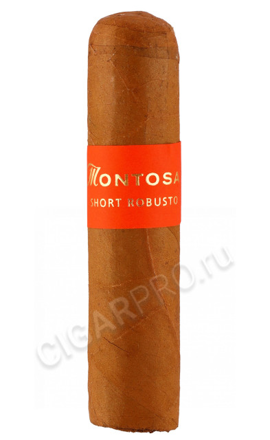 montosa short robusto