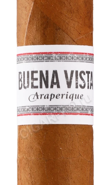 Доминиканская Сигара Buena Vista Araperique Belicoso