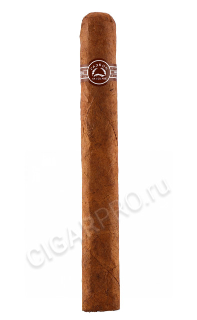 padron 4000 natural