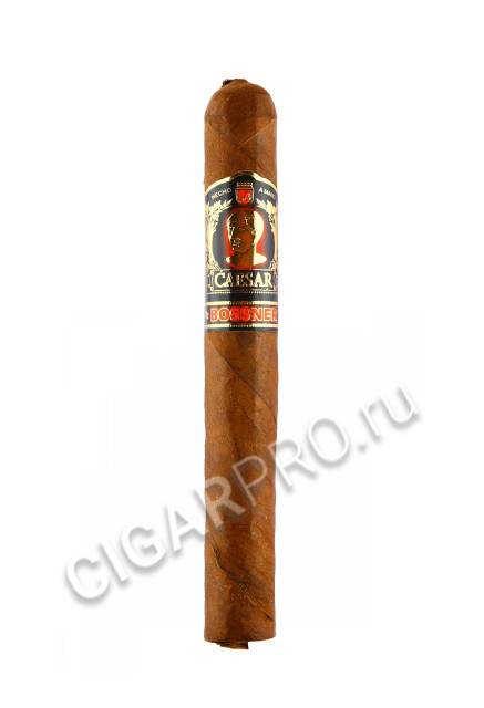 bossner caesar special and limited edition