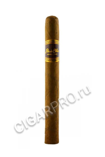 flor de oliva original churchill