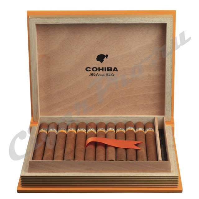 подарочный хьюмидор с сигарами cohiba esplendidos купить