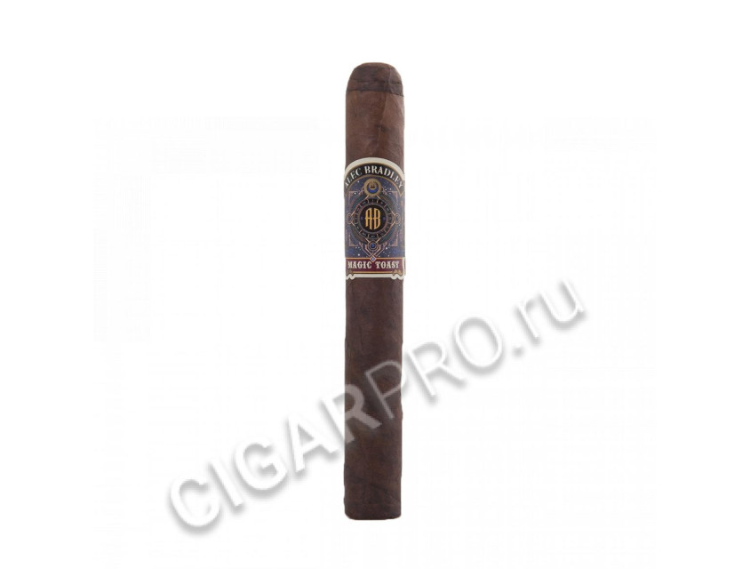 alec bradley magic toast toro