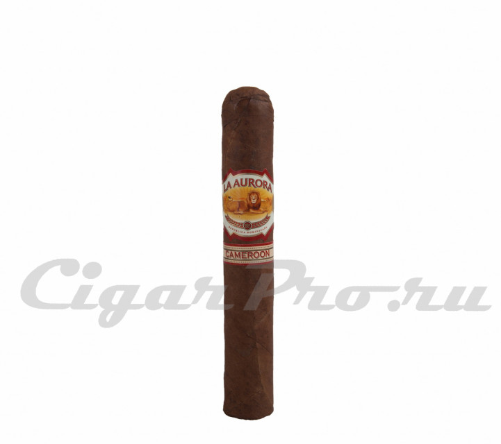 сигара la aurora cameroon robusto