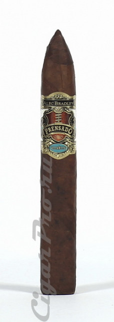 alec bradley prensado torpedo