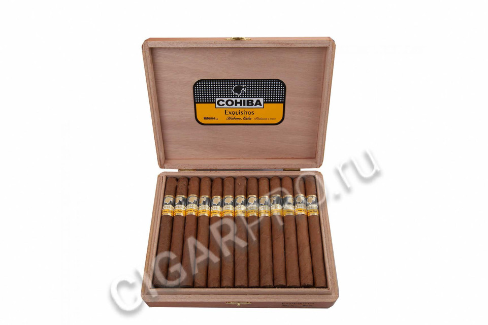 сигары cohiba exquisitos купить