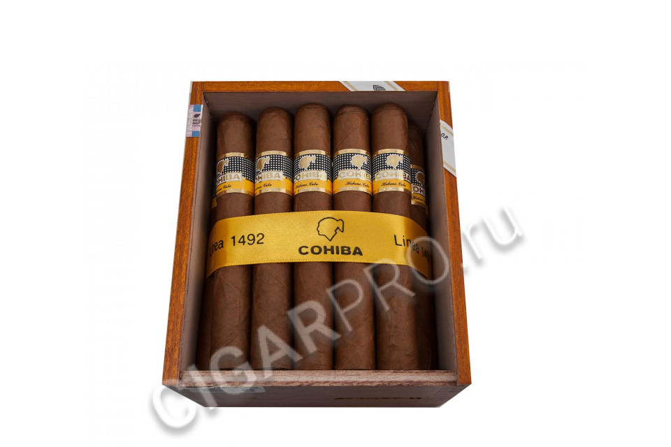 сигары cohiba siglo vi