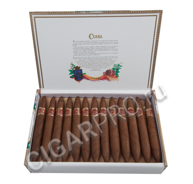 lа aurora preferidos robusto selection box