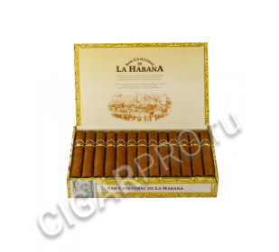 san cristobal la fuerza vintage 2005 купить