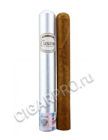 сигары cusano corona tubos