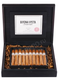 Сигары Buena Vista Araperique Belicoso
