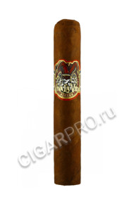aj fernandez viva la vida robusto