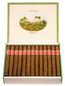 la flor de cano selectos