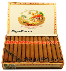 juan lopez petit coronas