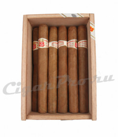 hoyo de monterrey le hoyo des dieux