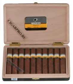 сигары cohiba maduro 5 magicos 10 штук купить
