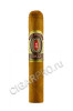 alec bradley medalist robusto