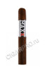 alec bradley maxx the culture