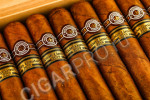 сигары montecristo supremos edicion limitada 2019