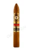 Сигара Сигары Perdomo Limited Edition San Luis Tobacco 20th Anniversary Belicoso Champagne