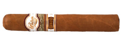 padron damaso no.15