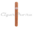 h.upmann magnum 46