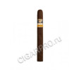 сигары cohiba siglo iii