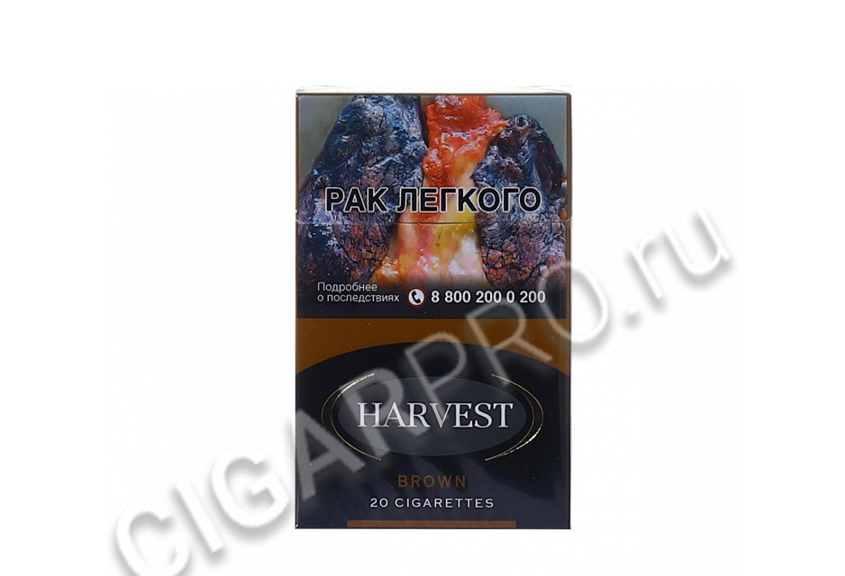 сигареты harvest brown