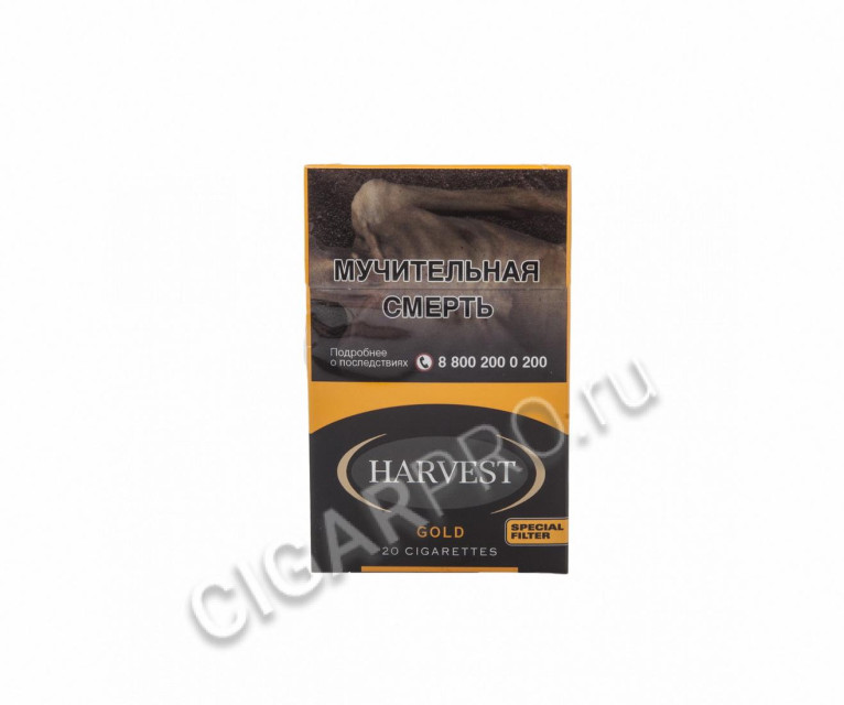 сигареты harvest gold