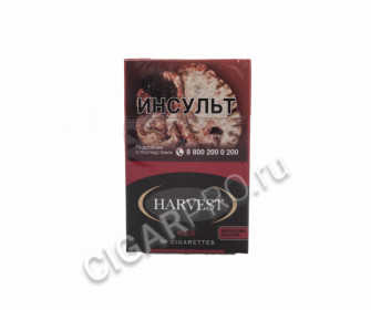 сигареты harvest red