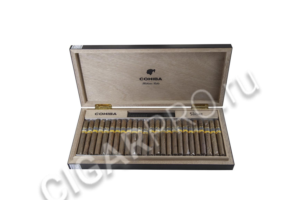 сигариллы cohiba short limited edition 2019