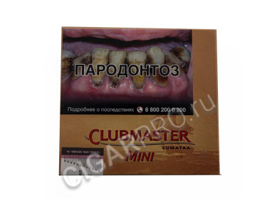 clubmaster mini sumatra цена