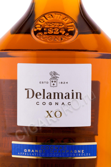 этикетка коньяк delamain xo grand champagne cognac 1991 0.7л