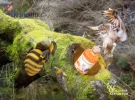 джин беркшир мед цветок апельсина 0.5л