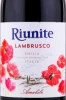 Этикетка Игристое вино Риуните Ламбруско 0.75л