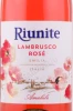 Этикетка Игристое вино Риуните Ламбруско Розе 0.75л